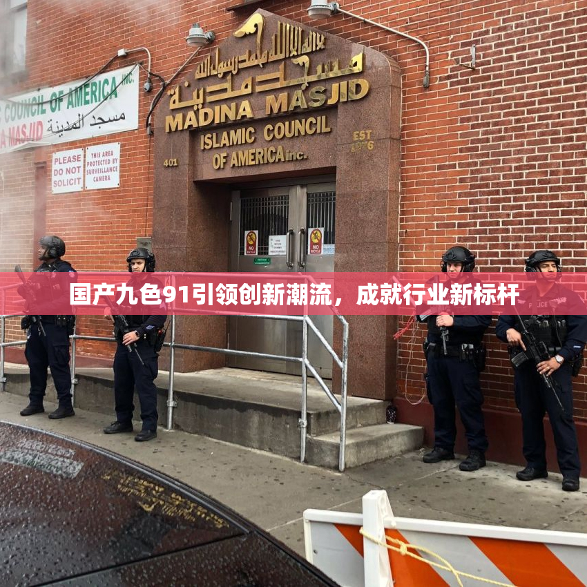 国产九色91引领创新潮流，成就行业新标杆