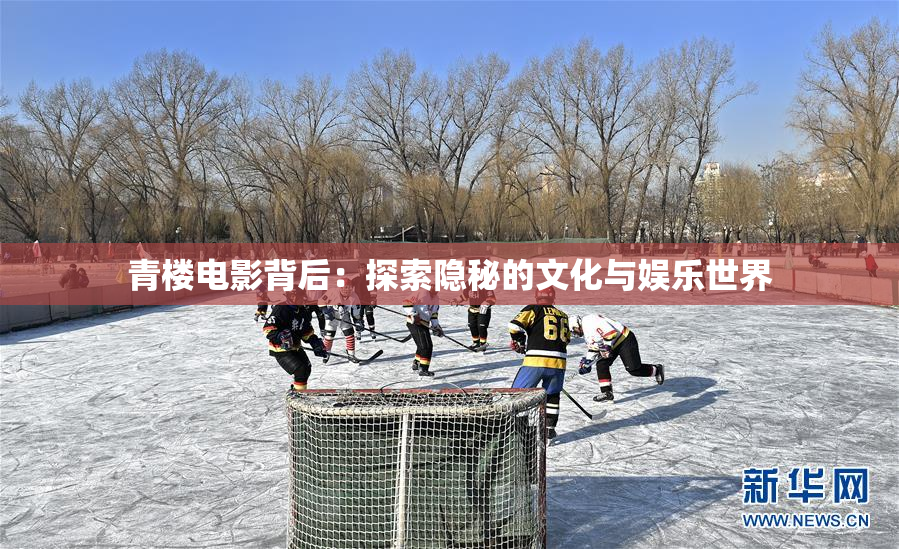 青楼电影背后：探索隐秘的文化与娱乐世界
