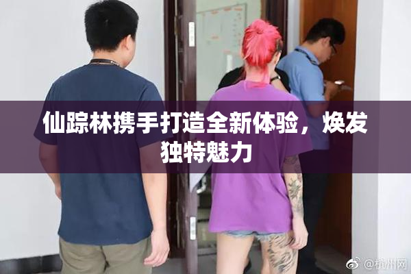 仙踪林携手打造全新体验，焕发独特魅力