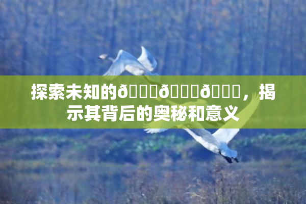 探索未知的🍆🍑🔞，揭示其背后的奥秘和意义
