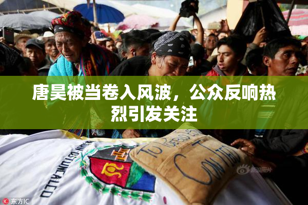 唐昊被当卷入风波，公众反响热烈引发关注