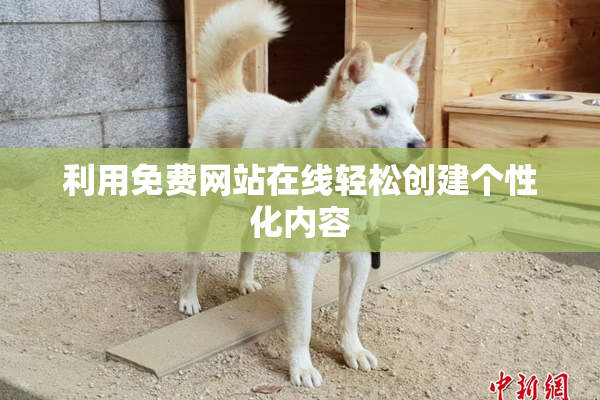 利用免费网站在线轻松创建个性化内容