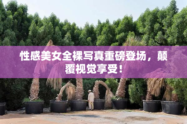 性感美女全裸写真重磅登场，颠覆视觉享受！