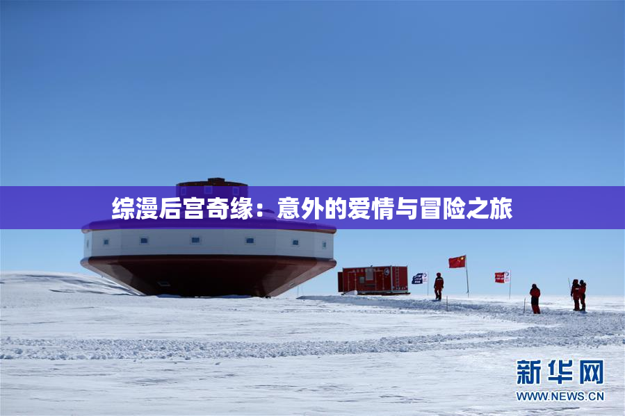 综漫后宫奇缘：意外的爱情与冒险之旅