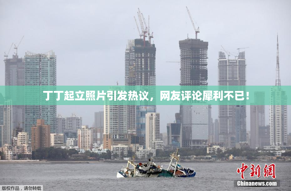 丁丁起立照片引发热议，网友评论犀利不已！