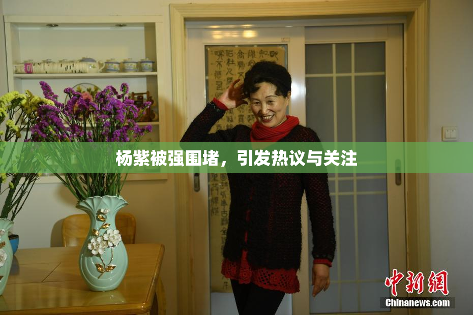 杨紫被强围堵，引发热议与关注