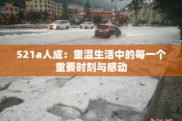 521a人成：重温生活中的每一个重要时刻与感动