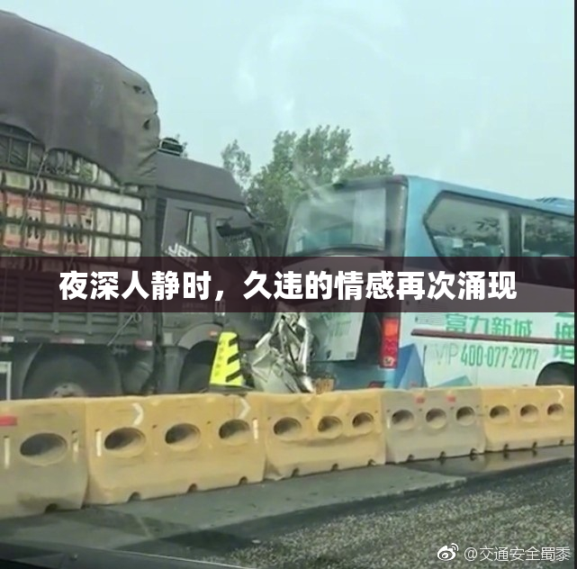 夜深人静时，久违的情感再次涌现