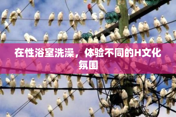在性浴室洗澡，体验不同的H文化氛围