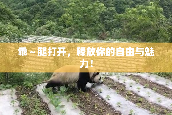 乖～腿打开，释放你的自由与魅力！