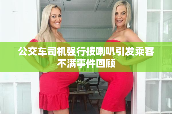 公交车司机强行按喇叭引发乘客不满事件回顾