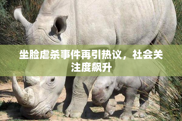 坐脸虐杀事件再引热议，社会关注度飙升