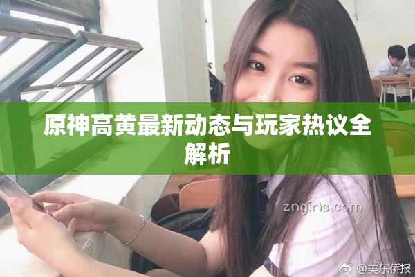 原神高黄最新动态与玩家热议全解析