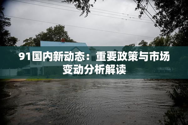 91国内新动态：重要政策与市场变动分析解读