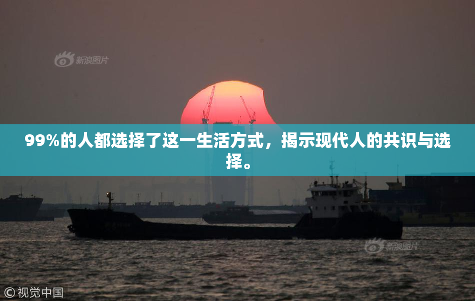 99%的人都选择了这一生活方式，揭示现代人的共识与选择。
