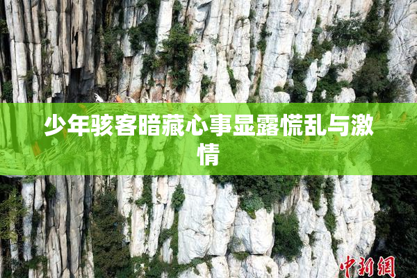 少年骇客暗藏心事显露慌乱与激情