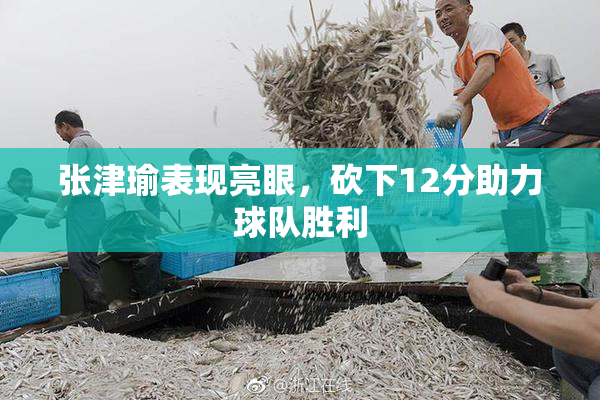 张津瑜表现亮眼，砍下12分助力球队胜利