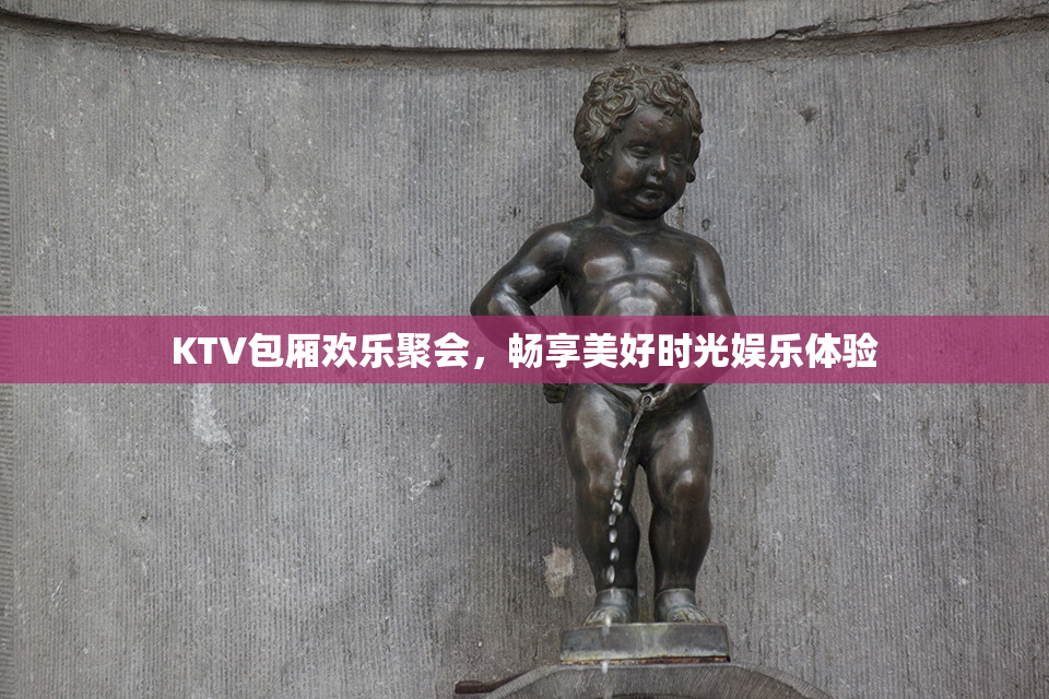 KTV包厢欢乐聚会，畅享美好时光娱乐体验
