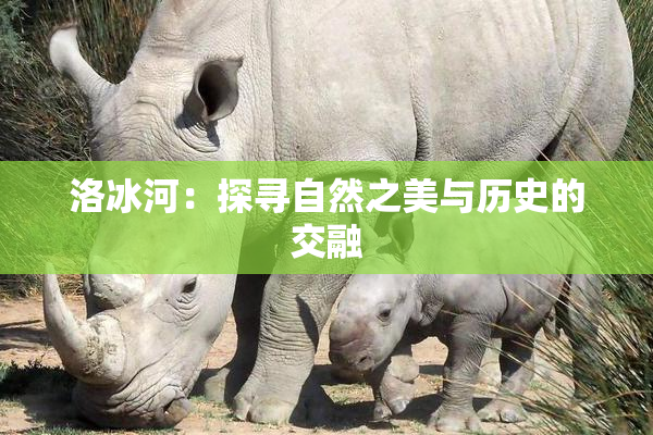 洛冰河：探寻自然之美与历史的交融
