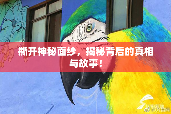 撕开神秘面纱，揭秘背后的真相与故事！
