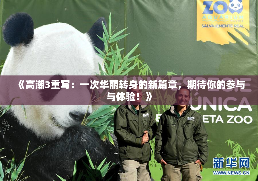 《高潮3重写：一次华丽转身的新篇章，期待你的参与与体验！》