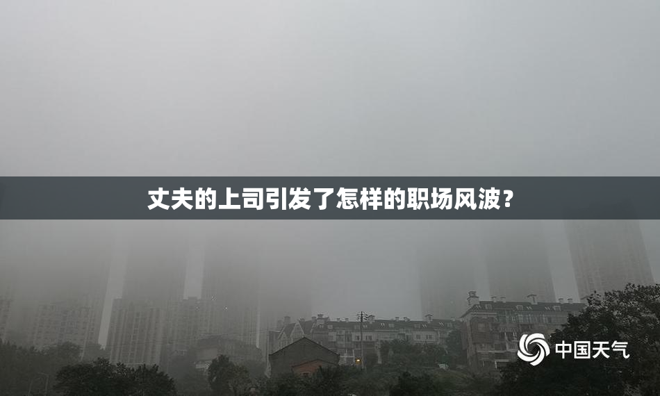 丈夫的上司引发了怎样的职场风波？