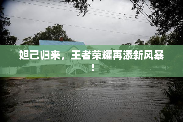 妲己归来，王者荣耀再添新风暴！