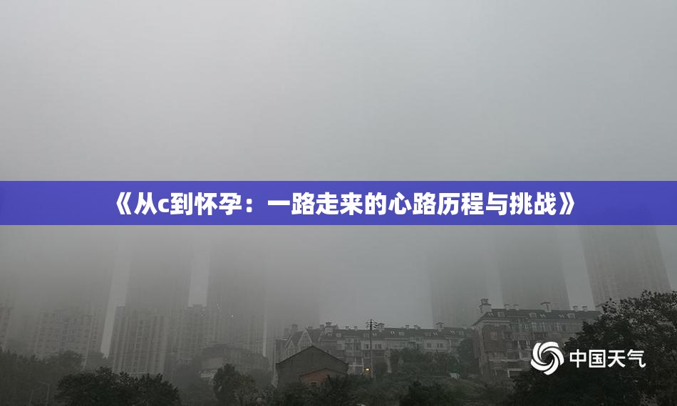 《从c到怀孕：一路走来的心路历程与挑战》