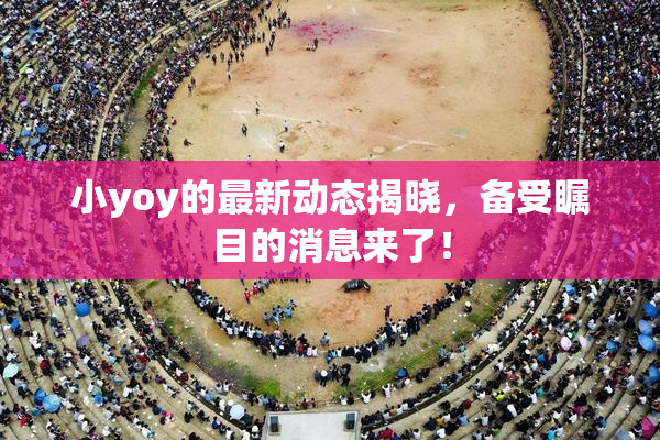 小yoy的最新动态揭晓，备受瞩目的消息来了！