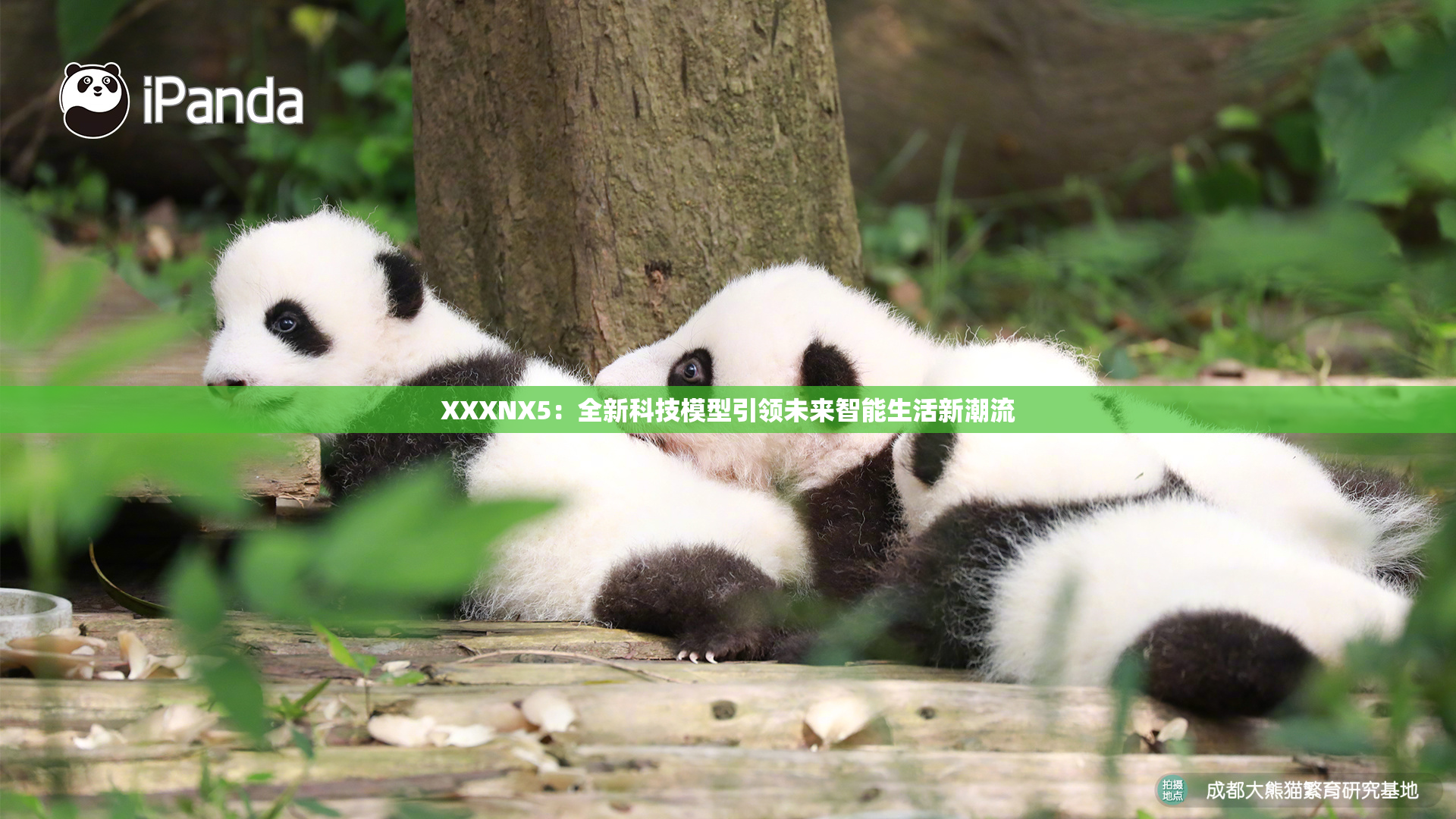 XXXNX5：全新科技模型引领未来智能生活新潮流