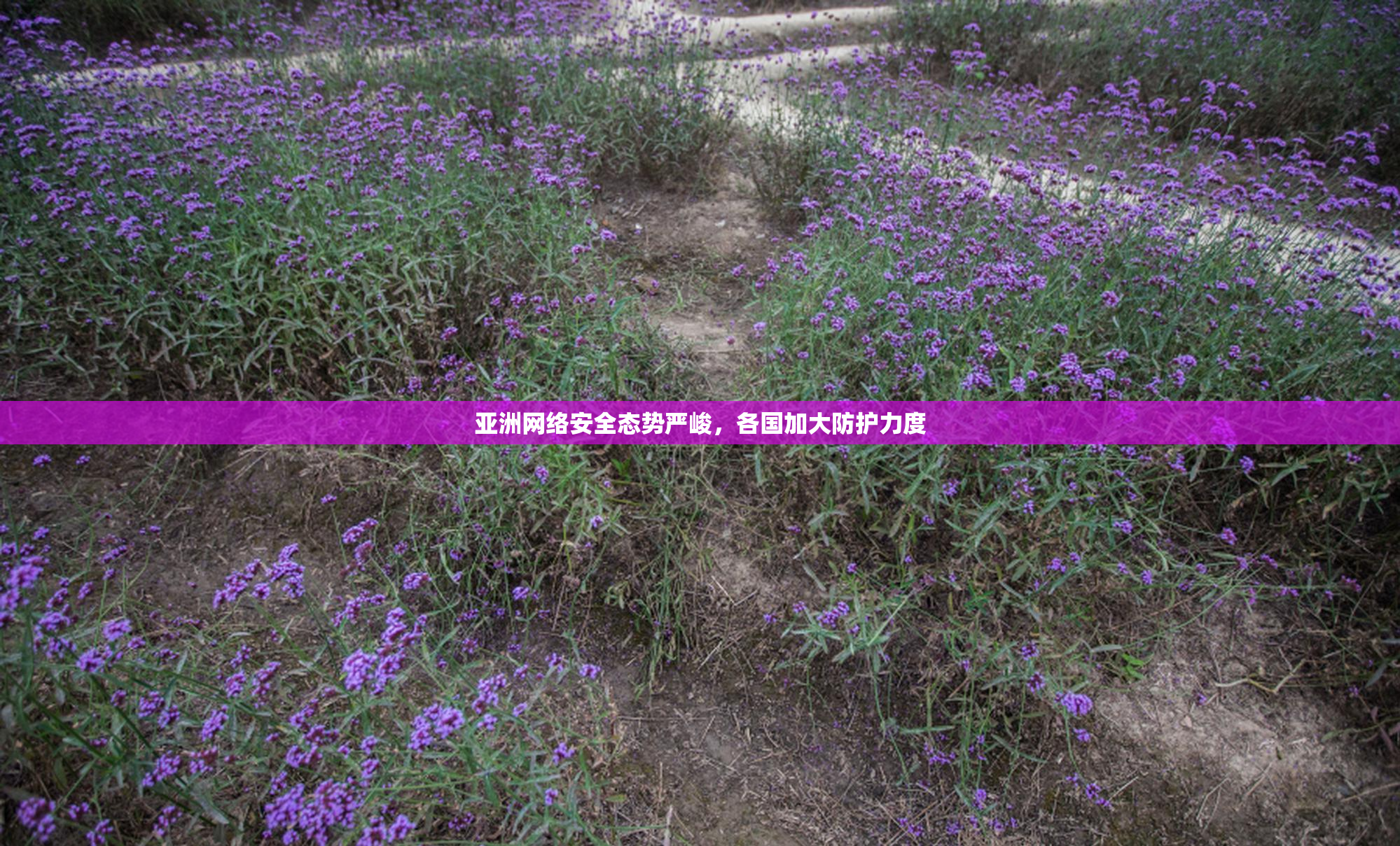 亚洲网络安全态势严峻，各国加大防护力度
