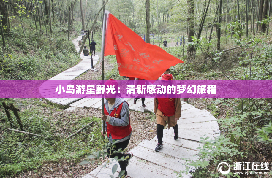 小鸟游星野光：清新感动的梦幻旅程