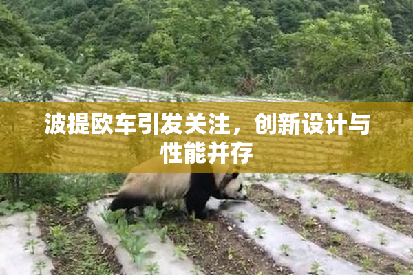 波提欧车引发关注，创新设计与性能并存