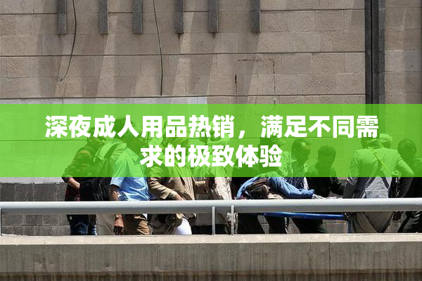 深夜成人用品热销，满足不同需求的极致体验