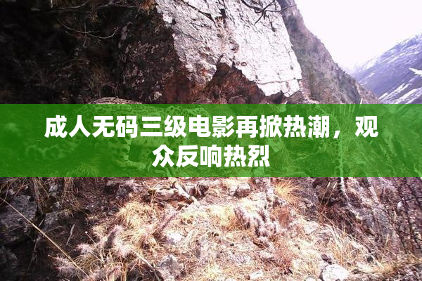 成人无码三级电影再掀热潮，观众反响热烈
