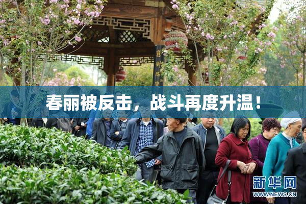 春丽被反击，战斗再度升温！