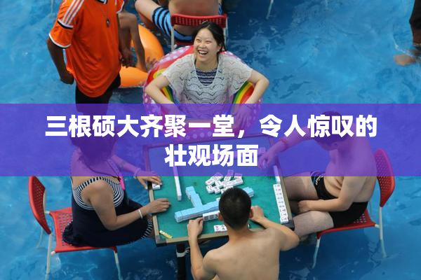 三根硕大齐聚一堂，令人惊叹的壮观场面