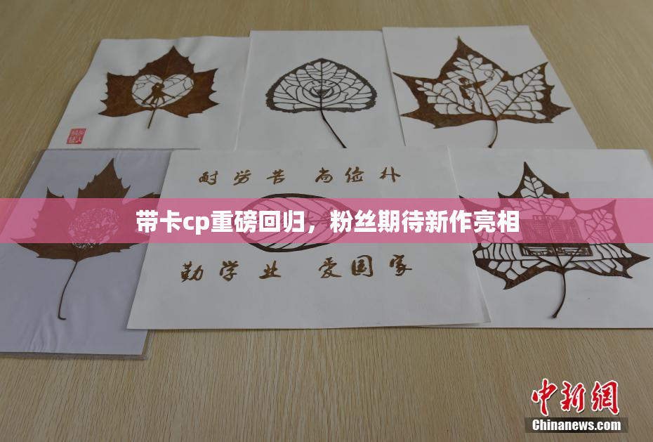 带卡cp重磅回归，粉丝期待新作亮相