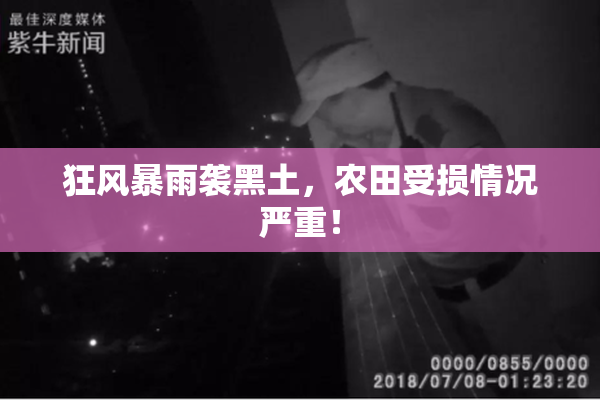狂风暴雨袭黑土，农田受损情况严重！