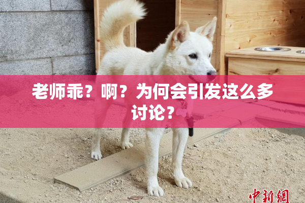 老师乖？啊？为何会引发这么多讨论？