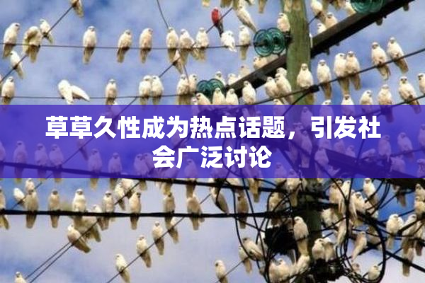 草草久性成为热点话题，引发社会广泛讨论