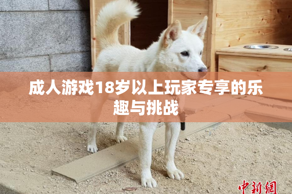 成人游戏18岁以上玩家专享的乐趣与挑战