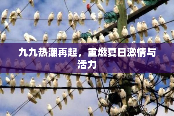 九九热潮再起，重燃夏日激情与活力