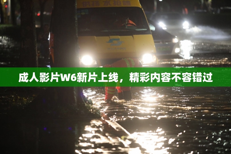 成人影片W6新片上线，精彩内容不容错过