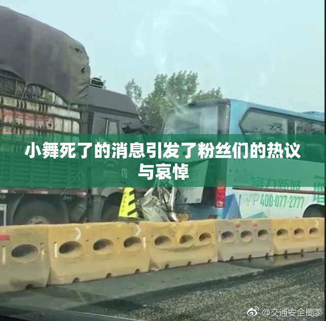 小舞死了的消息引发了粉丝们的热议与哀悼