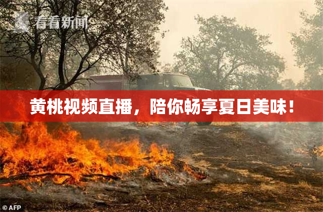 黄桃视频直播，陪你畅享夏日美味！