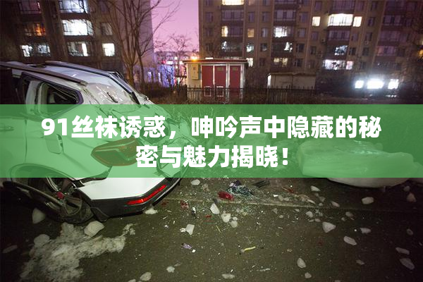 91丝袜诱惑，呻吟声中隐藏的秘密与魅力揭晓！