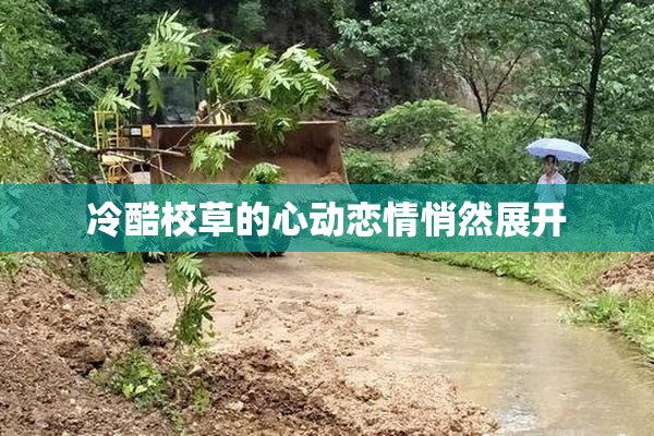 冷酷校草的心动恋情悄然展开