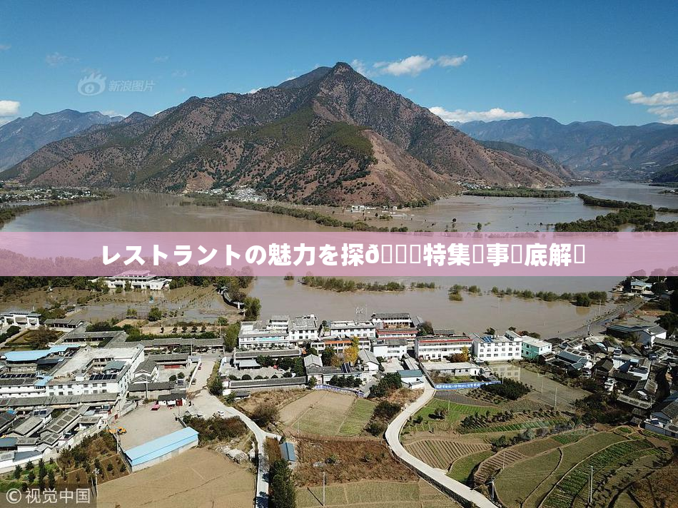 レストラントの魅力を探🌃特集記事徹底解説