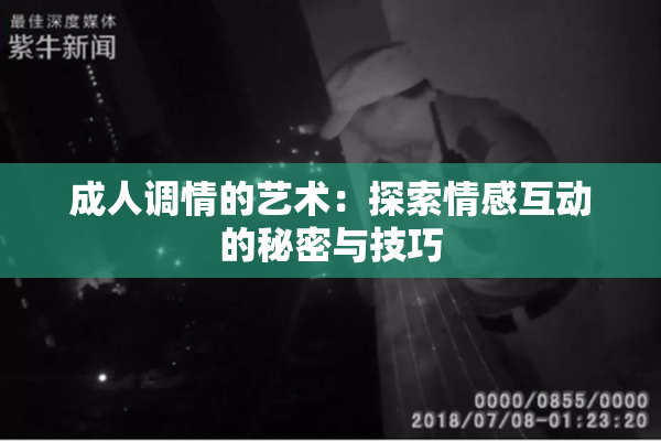 成人调情的艺术：探索情感互动的秘密与技巧